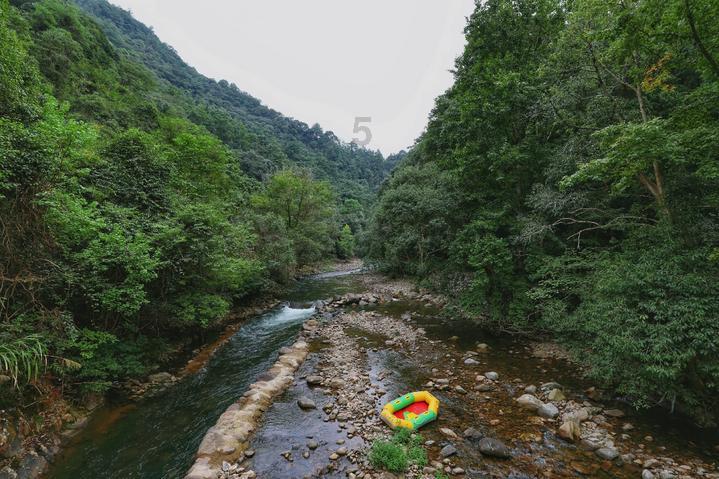 逗小猴开心系列172