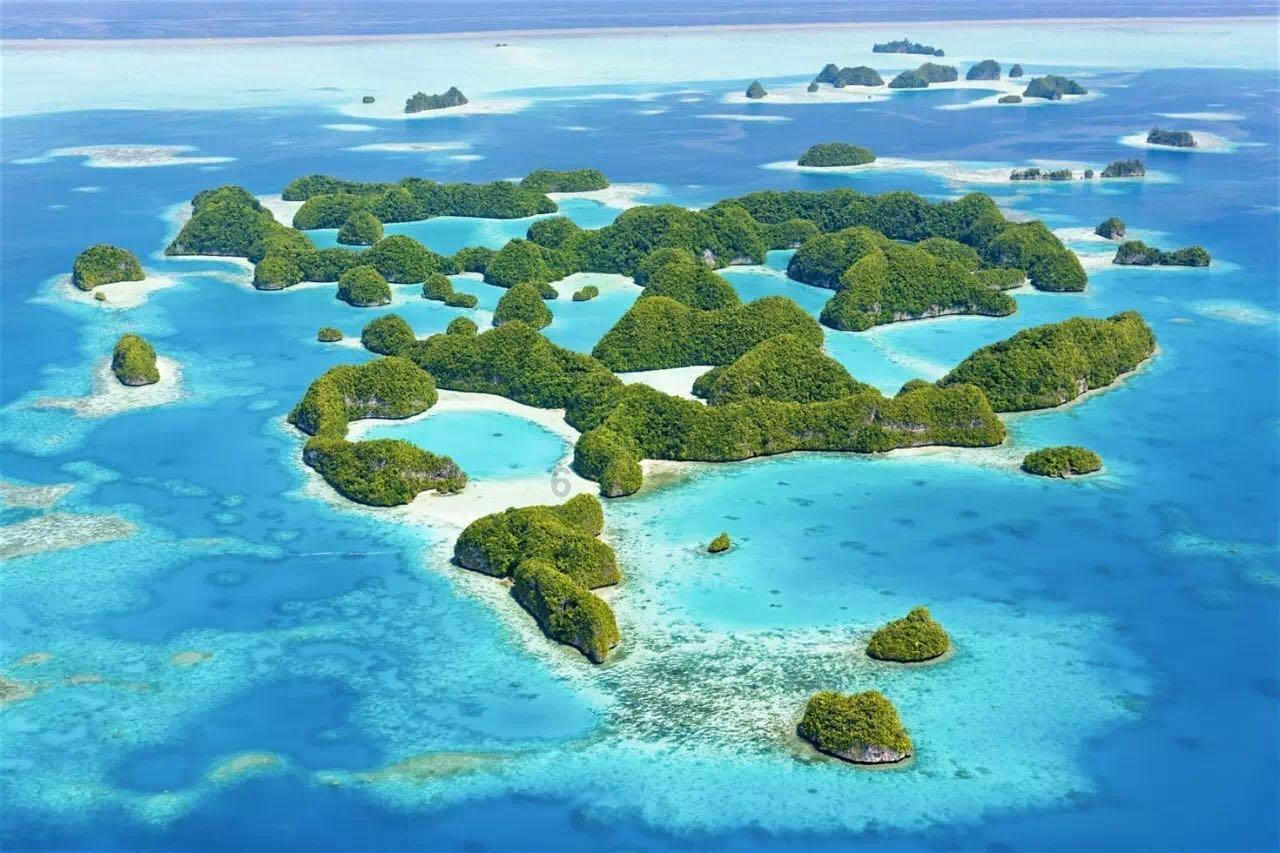 红烧鲫鱼怎么做- 专业有问必答平台