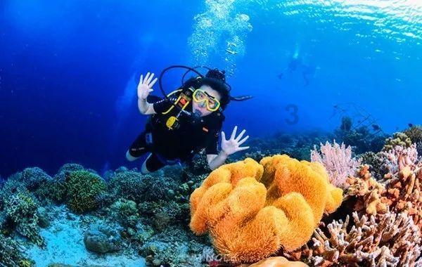 怎样做方便面好吃？游戏画面