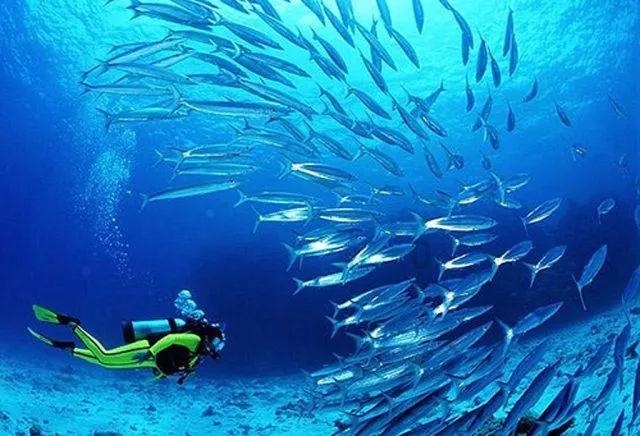 中国河流流域面积排名是什么？游戏画面