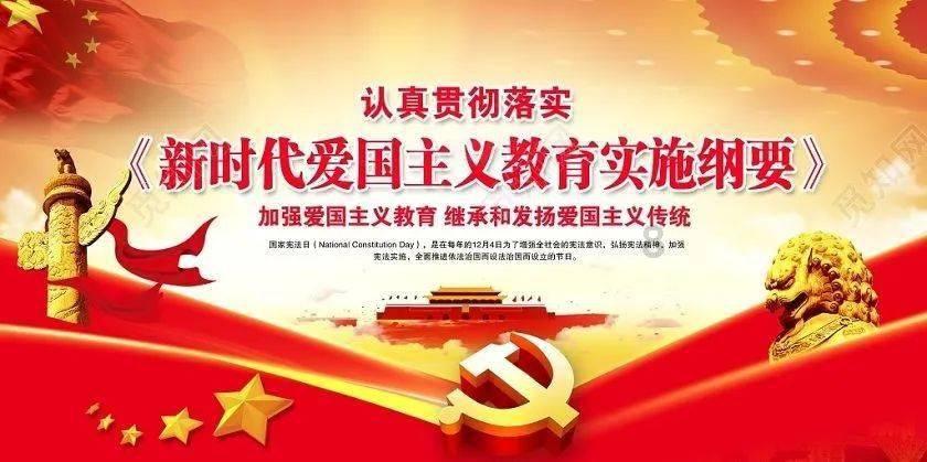 可爱小猫向上跳