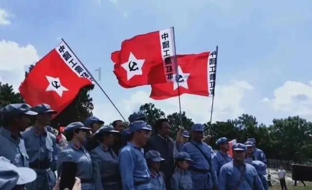 皂角树是什么树？
